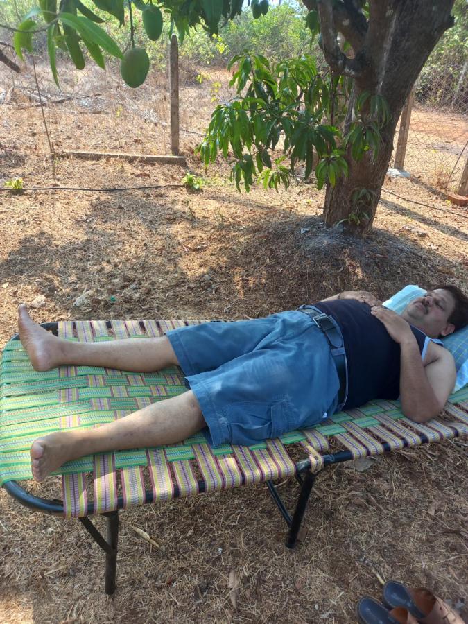 Misty Woods Eco Cottages Harihareshwar Esterno foto